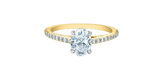 Solitaire oval pavé