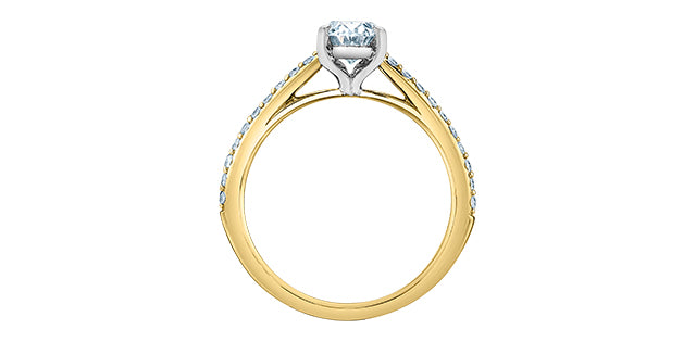 Solitaire oval pavé